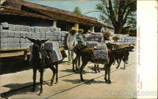 Burros Cargando Piedras Mexico