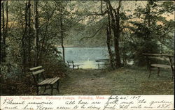 Tupelo Point at Wellesley College Postcard
