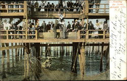 Hauling the Seine Postcard