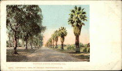 Magnolia Avenue Riverside, CA Postcard Postcard Postcard