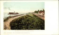 The Levee at Chalmette Postcard