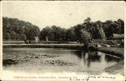 A water-lily corner, Riverside Park Postcard