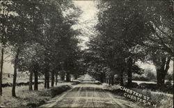 Chester St. New Hampshire Postcard Postcard Postcard