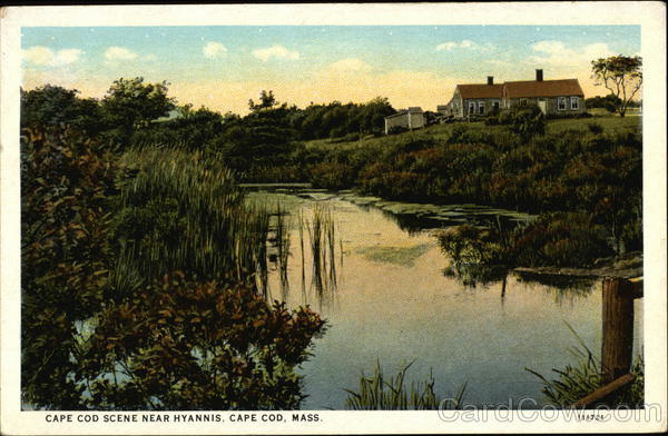 Cape Cod Scene Near Hyannis Massachusetts