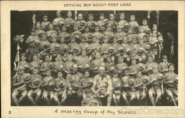 A Healthy Group of Boy Scouts