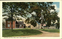 Historic Scythe Tree Farm Near Geneva, N. Y. Postcard