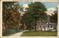 By the Homestead Postcard