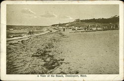A View of the Beach Postcard