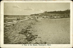 A View of the Beach Dennis Port, MA Postcard Postcard Postcard