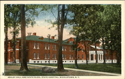 Ashley Hall and Acute Building, State Hospital Middletown, NY Postcard Postcard Postcard