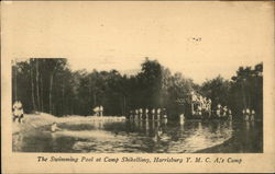 The Swimming Pool at Camp Shikellimy, Y. M. C. A.'s Camp Postcard