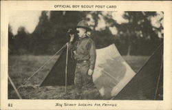 Boy Scout Looking For Friends Postcard