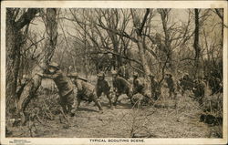 Stock #446245 Thumbnail