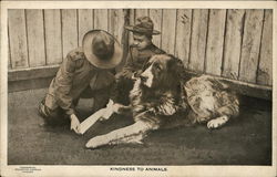 Kindness To Animals Boy Scouts Postcard Postcard Postcard