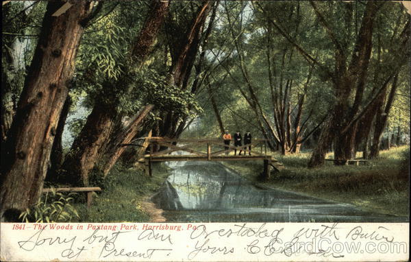 The Woods in Paxtang Park Harrisburg Pennsylvania