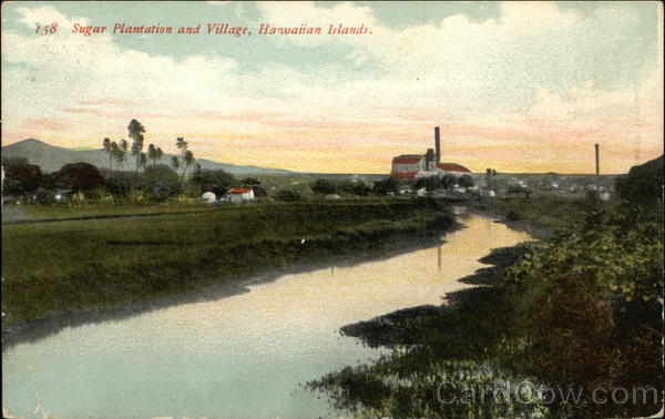 Sugar Plantation and Village, Northwestern Hawaiian Islands