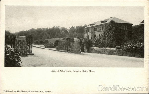Arnold Arboretum, Jamaica Plain Boston Massachusetts