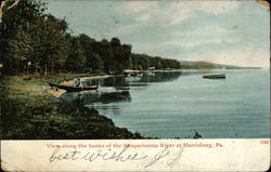 View along the banks of the Sasquehanna River Postcard