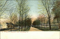A Drive in Reservoir Park Postcard