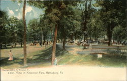 G 6183 View in Reservoir Park Postcard