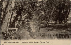 Along the Indian Spring, Paxtang Psark Postcard
