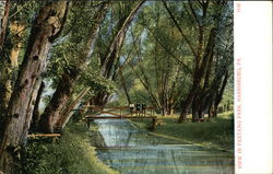 Paxtang Park Postcard