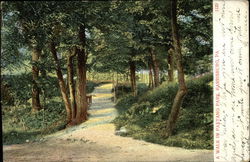 Stock #446713 Thumbnail