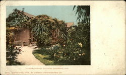 A Rose-Covered Cottage Pasadena, CA Postcard Postcard Postcard