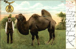 "Holy Moses" at Roger Williams Park Postcard