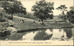 Scene on West Farm near Bristol Ferry Light, Looking North Rhode Island Postcard Postcard Postcard
