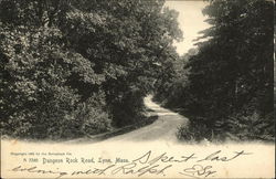 Dungeon Rock Road Lynn, MA Postcard Postcard Postcard