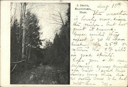 A Drive Postcard