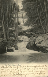 The Falls Postcard