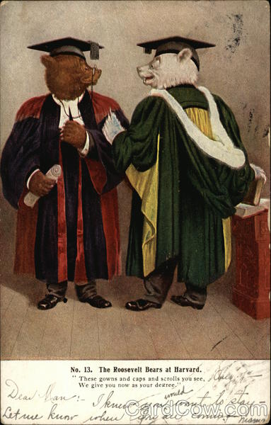 The Roosevelt Bears at Harvard