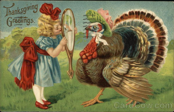 Little Girl Holding Mirror to Dressed up Turkey Turkeys