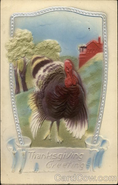 Thanksgiving Greetings Turkeys