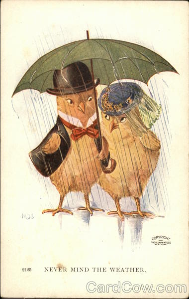 Chickabiddies Chickens