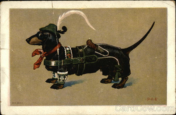Dachshund Dog Dressed Up Dachshunds