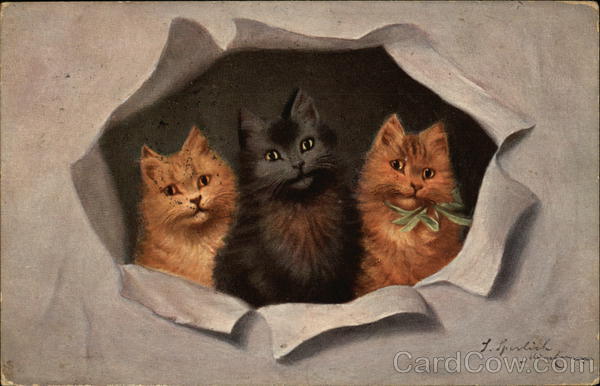 Three Kittens Looking through Torn Paper Cats