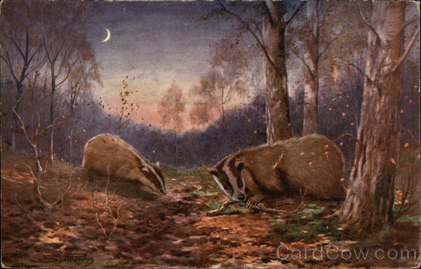 Two Badgers in the Woods at Night Oilette