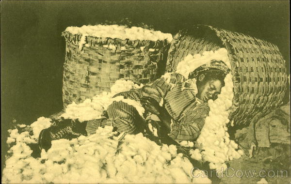 Boy Laying in Basket of Cotton Black Americana