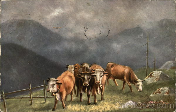 Scenic with Cattle Cows & Cattle