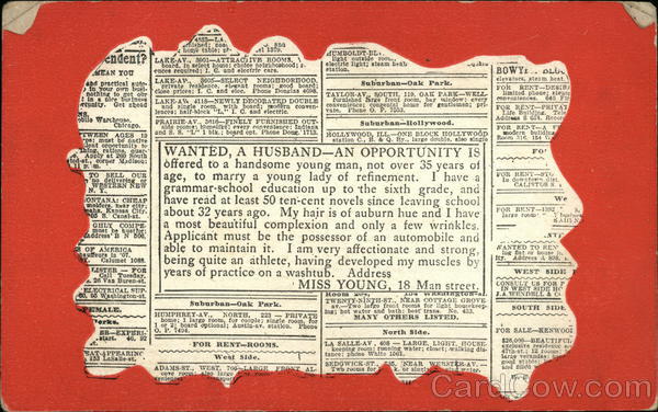 Personal Ad Old Maid Seeking Husband Comic