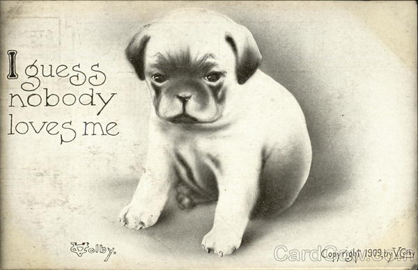 I guess nobody loves me Dogs