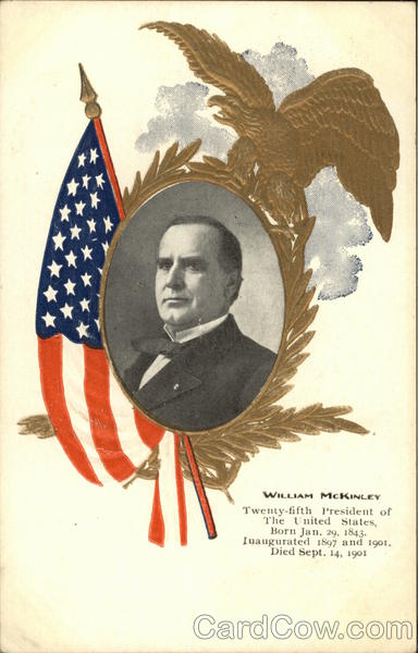 William McKinley Portrait - Patriotic with Eagle and Flag