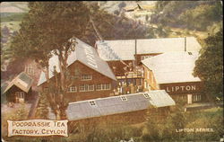 Pooprassie Tea Factory, Ceylon Postcard