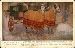 5a Horse Blankets Postcard