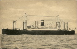S.S. President Harding Postcard