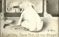 It isn't my Face Kid, it's my Shape! - Dog Looking in Dresser Mirror Dogs Postcard Postcard Postcard