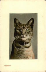 Tommy Postcard